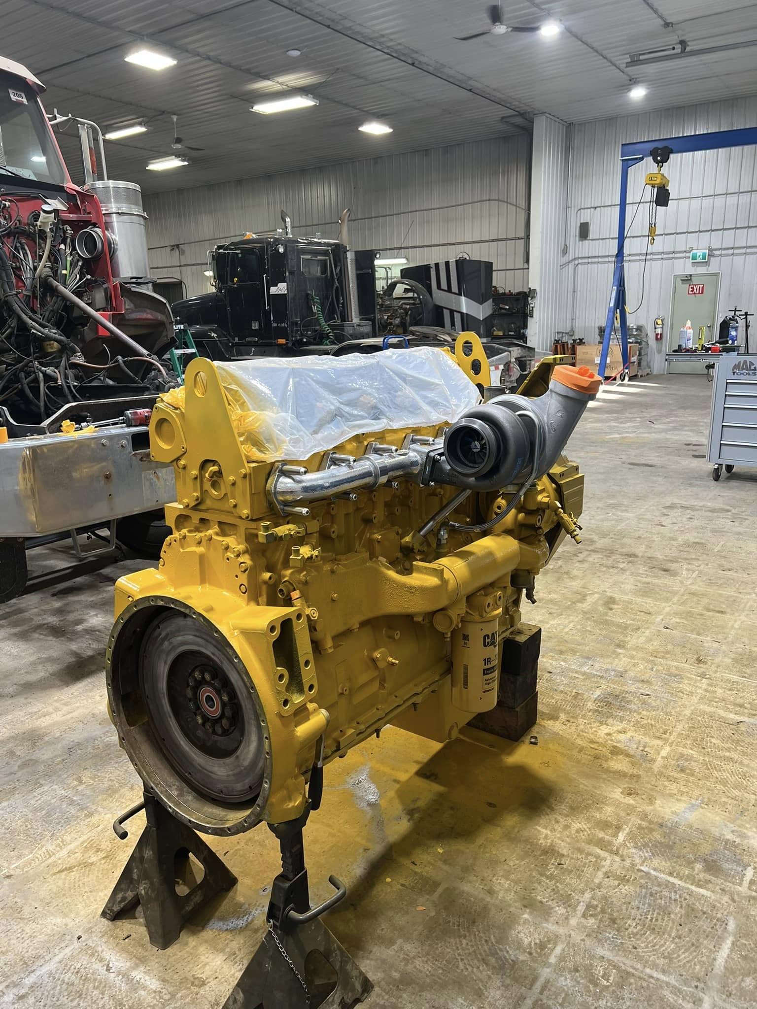 Engine diagnostics and repair project