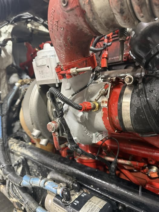 Electrical and lighting repair project